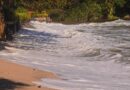 Ilhabela orienta população após aviso de ressaca emitido pela Marinha