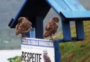 Prefeitura de Caraguatatuba promove atividades especiais para ‘Dia do Observador de Aves’