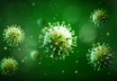 Caraguatatuba confirma terceiro óbito pelo vírus da Influenza