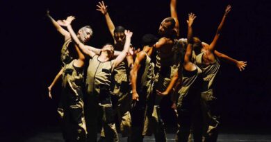 Fundacc retoma festival e reabre Teatro Mario Covas com 14º Litoral em Dança