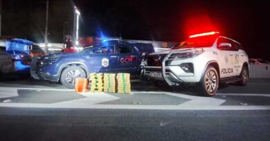Guarda Civil de Caraguatatuba e Polícia Militar Rodoviária apreendem mais de 63 kg de drogas na Rodovia dos Tamoios