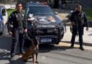 Agente canina Kona auxilia GCM na prisão em flagrante por tráfico de drogas em São Sebastião