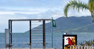São Sebastião inicia feriado com 100% das praias próprias para banho e temporada de baleias no Litoral Norte