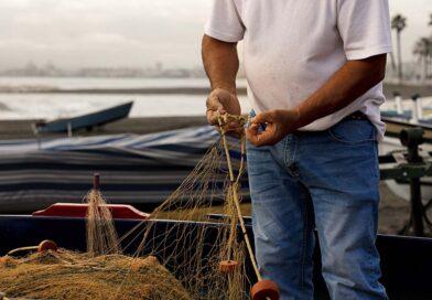 Prefeitura de São Sebastião apresenta políticas públicas para pesca sustentável em palestra na USP