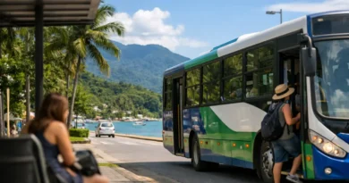 Guia do transporte público Ubatuba