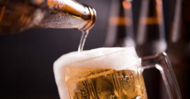 São Sebastião integra as novas Rotas da Cerveja de São Paulo lançadas pelo Governo do Estado